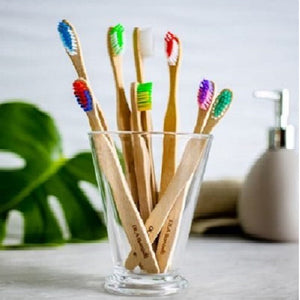 adult and kids tooth brushes in glass