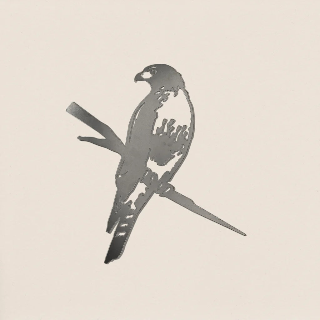 Metal Bird