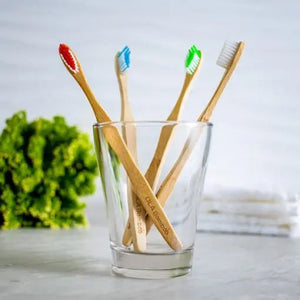 adult bamboo toothbrushes 4 different coloured bristles in a glass
