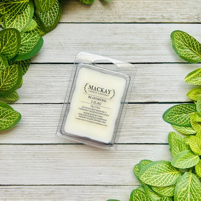 Mackay & Co. wax melt in packaging on a wooden surface with green leaves around
