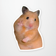 cute beige hamster giving the peace sign