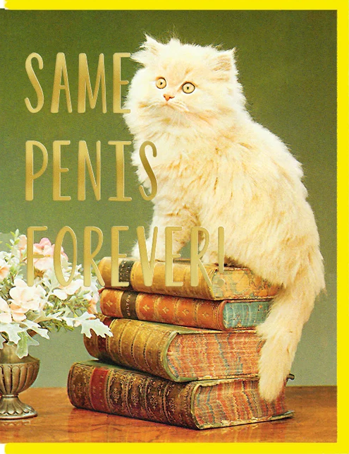 a card that reads Same Penis Forever with fluffy cat on a stack of old books and a vase of white flowers 