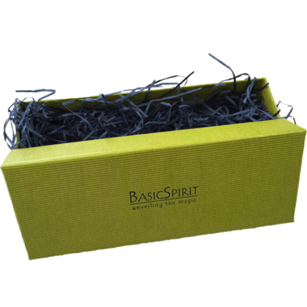 Basic Spirit Canada Ice Cream Scoop Ice Cream Scoop