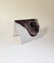 Load image into Gallery viewer, Horse&#39;s nose up-close Animal Print Greeting Cards
