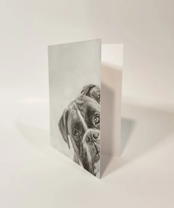 Boxer dog head in the bottom corner of a card looking straight with tilted head