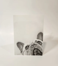 Load image into Gallery viewer, French Bulldog in bottom corner of card- just it&#39;s head looking up
