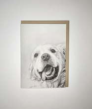 Load image into Gallery viewer, the head of a Golden Retriever panting
