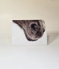 Load image into Gallery viewer, Horse&#39;s nose up-close Animal Print Greeting Cards
