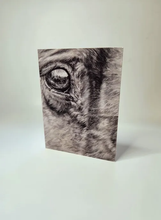 Load image into Gallery viewer, Horse&#39;s eye up close  Animal Print Greeting Cards
