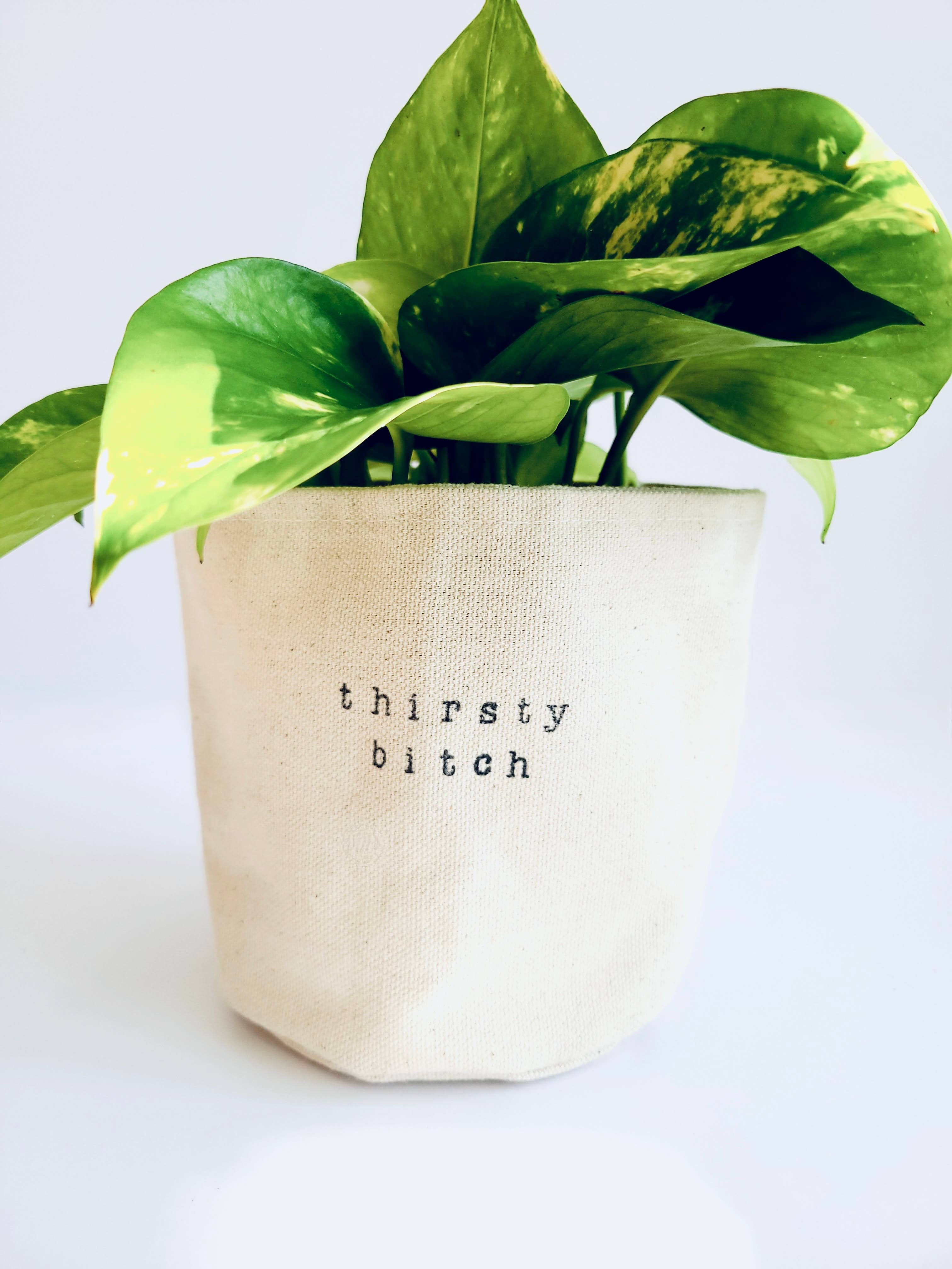 Leaf and Root Co. 6" / Uncuffed Thirsty Bitch Canvas Plant Pot Cover