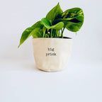 Leaf and Root Co. Uncuffed / 6" Big Prick Canvas Plant Pot Cover