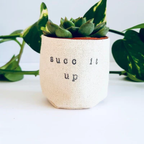 Leaf & Root pot cover 2" / succ it up Canvas Plant Pot Covers