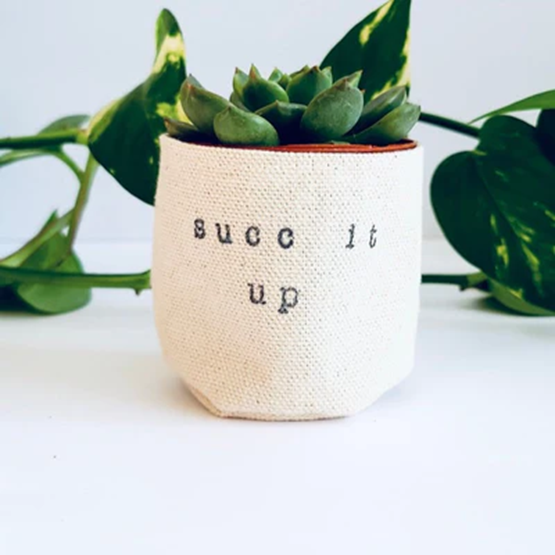 Leaf & Root pot cover 2" / succ it up Canvas Plant Pot Covers