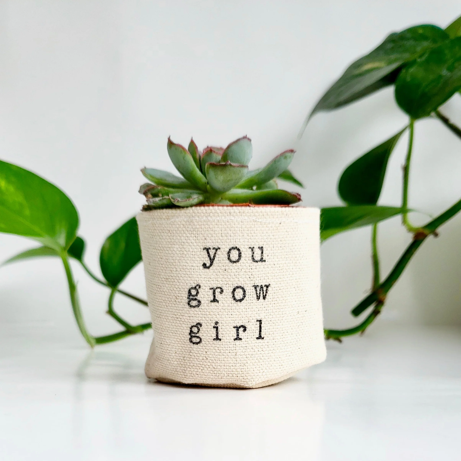 Leaf & Root pot cover 2" / you grow girl Canvas Plant Pot Covers