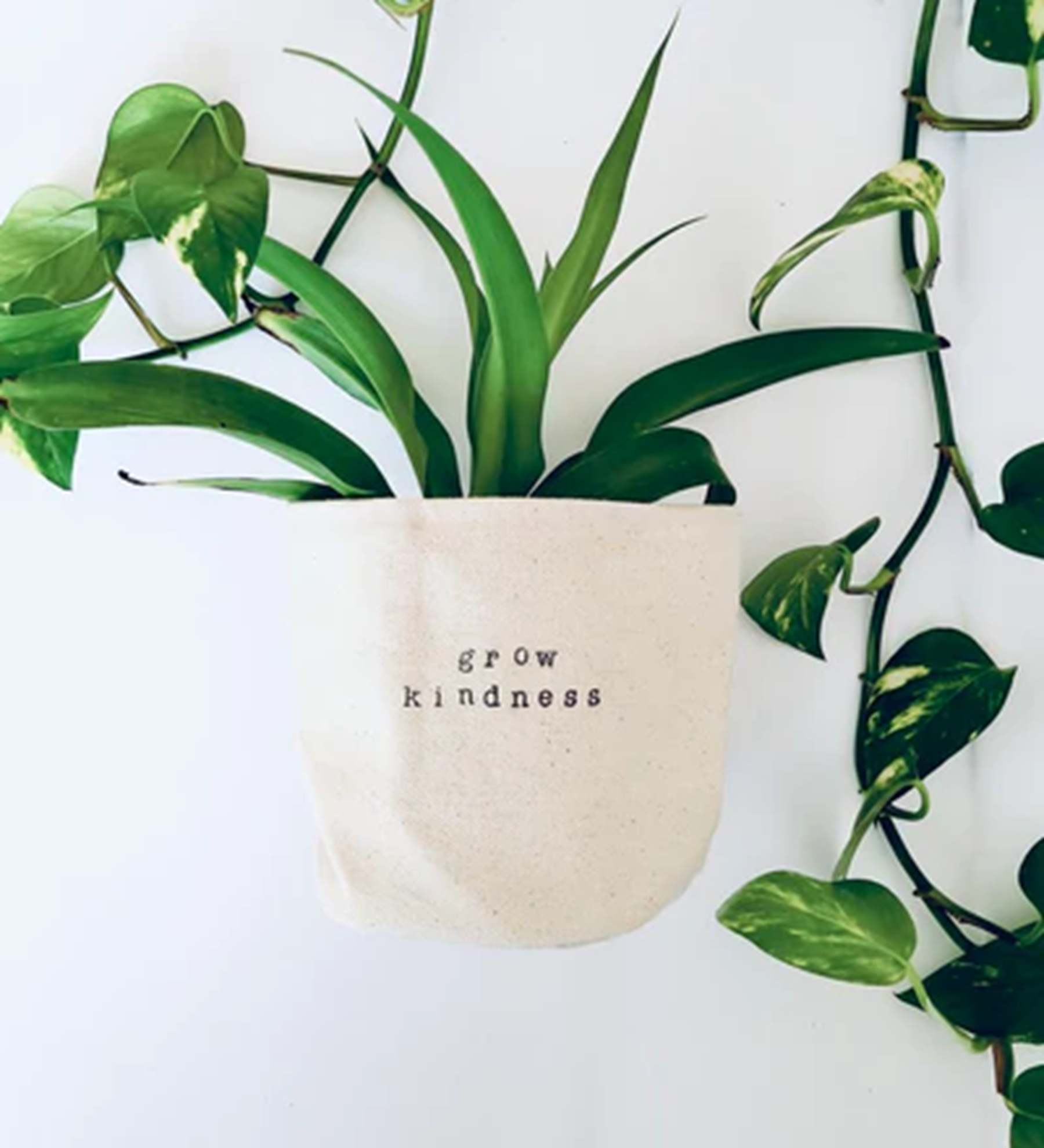 Leaf & Root pot cover 4" / grow kindness Canvas Plant Pot Covers