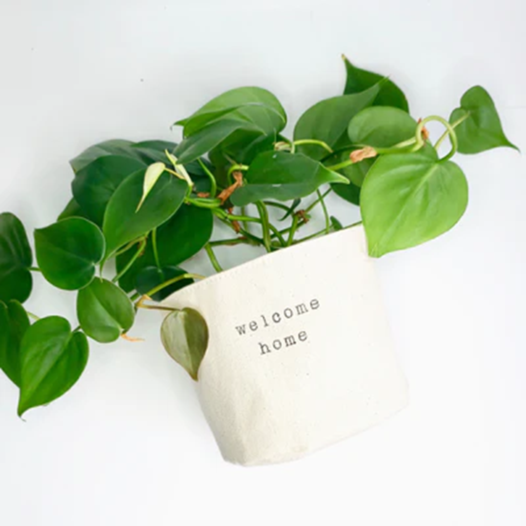 Leaf & Root pot cover 4" / welcome home Canvas Plant Pot Covers