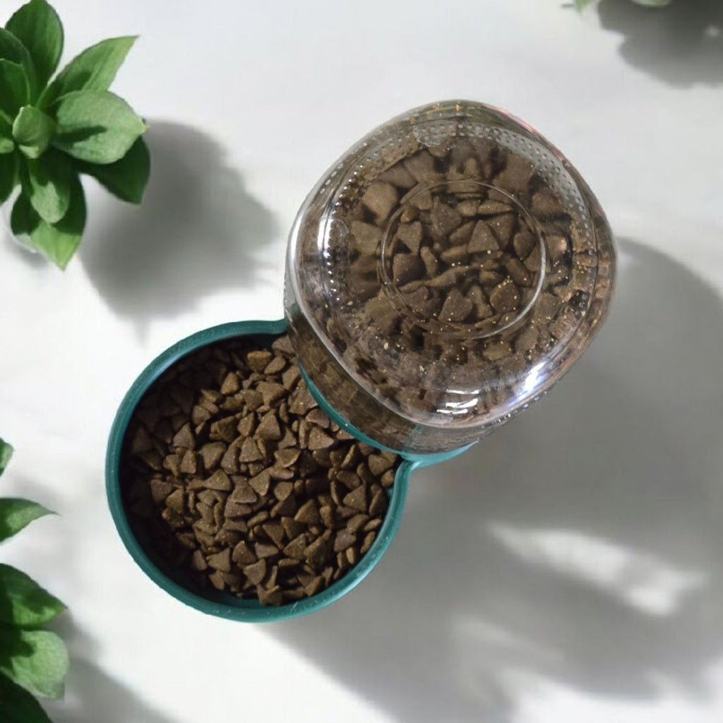top view of pet dish on a counter with plants