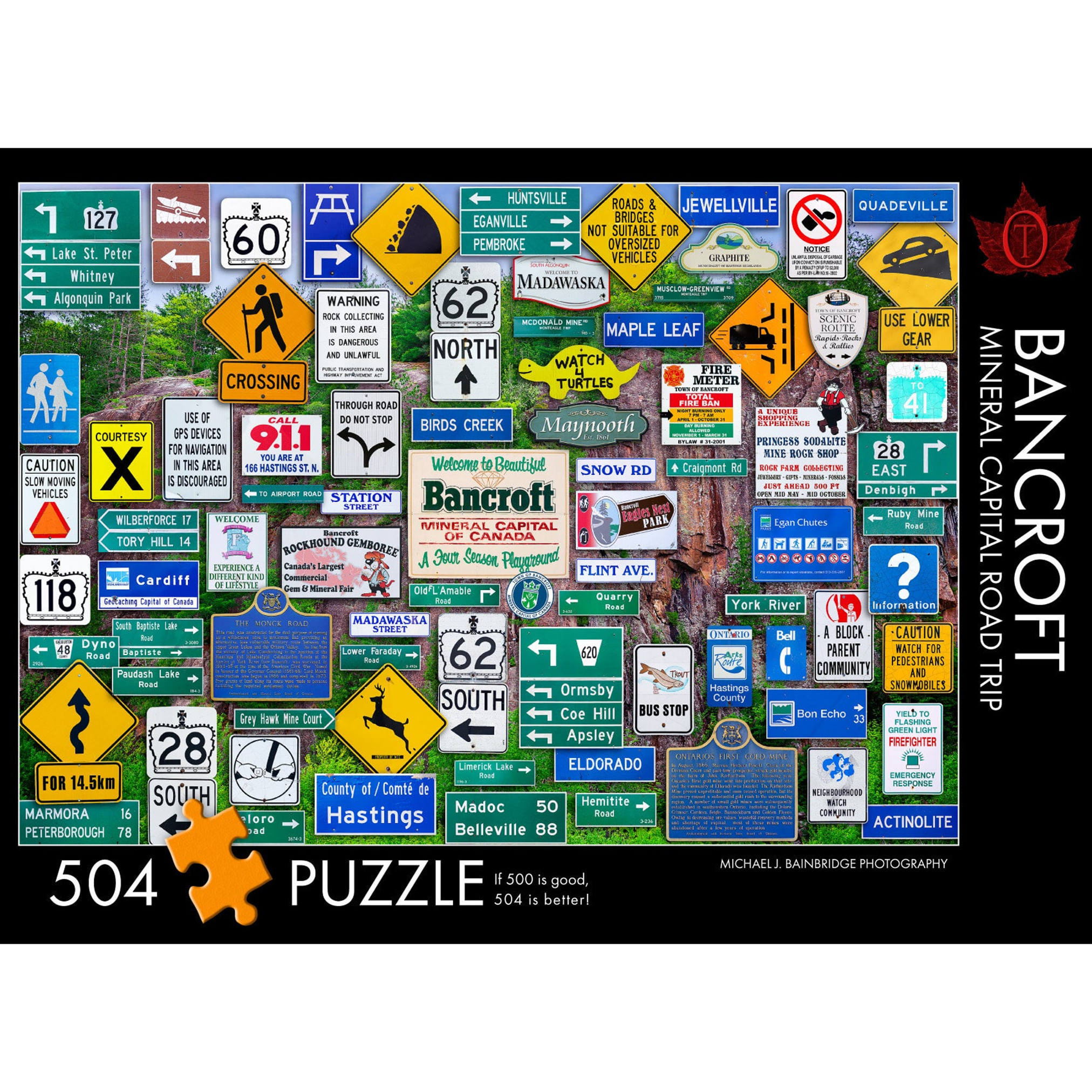 The Occurrence Puzzle 1008 pieces / Bancroft RT Puzzles