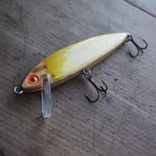 Load image into Gallery viewer, 2nd Shot Garage &amp; Outdoors Skateboard Fishing Lures
