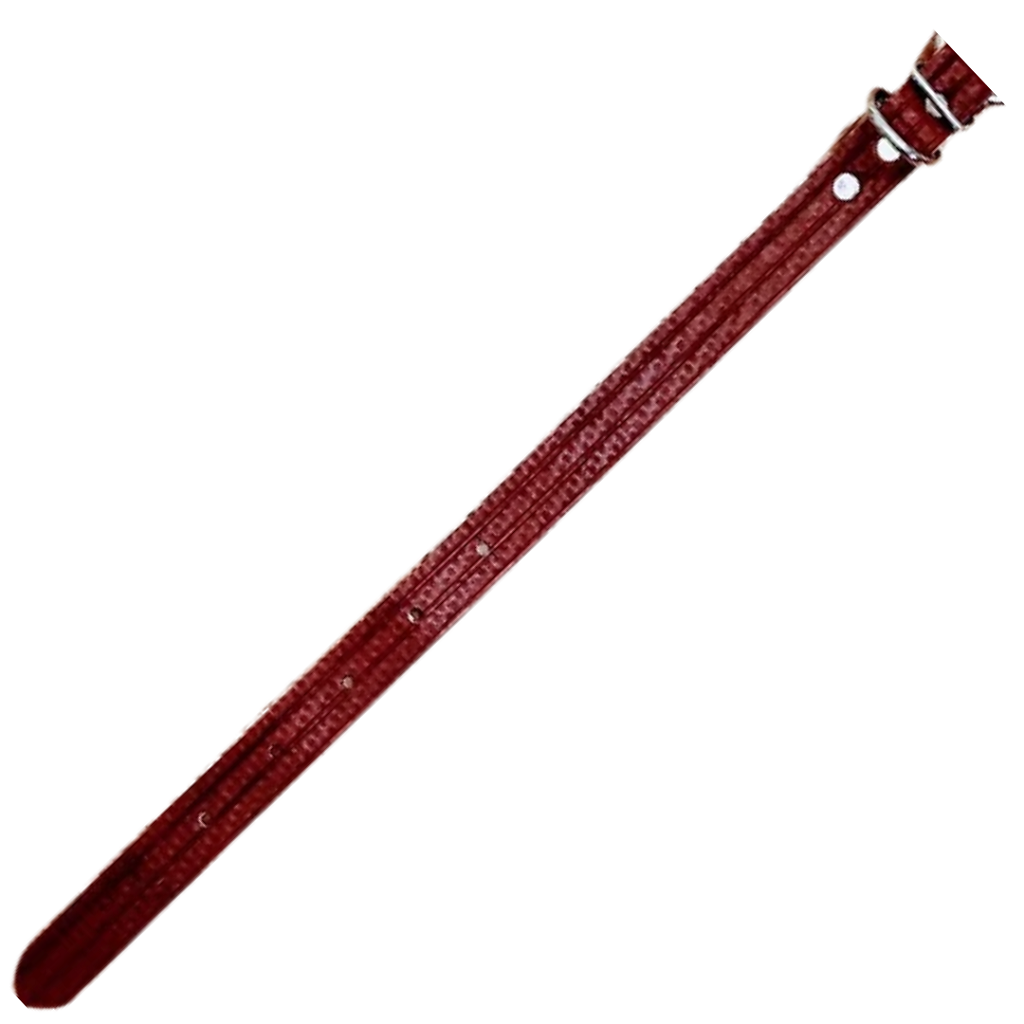red collar laid flat