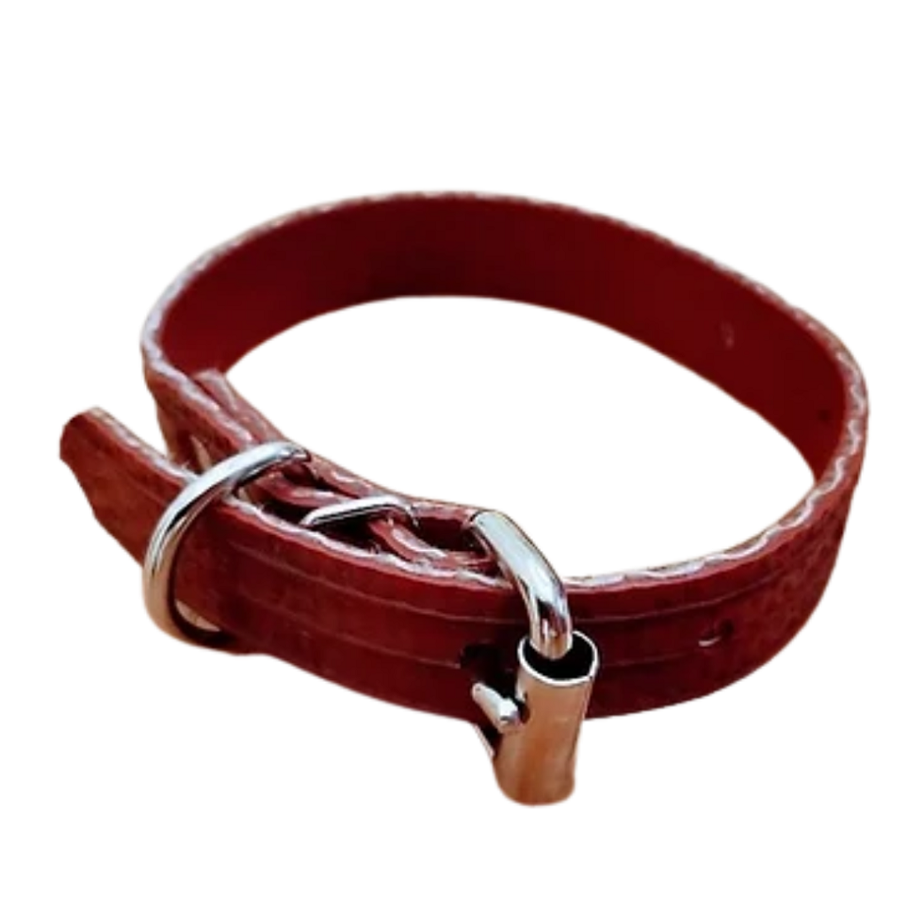 red collar buckled up - front view