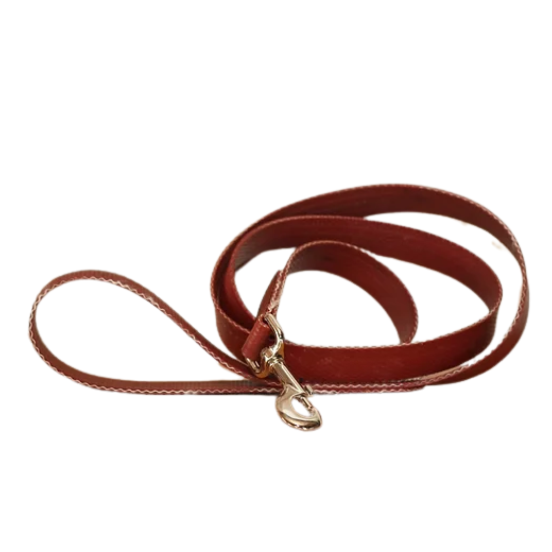 Red Fire Hose Dog Leash