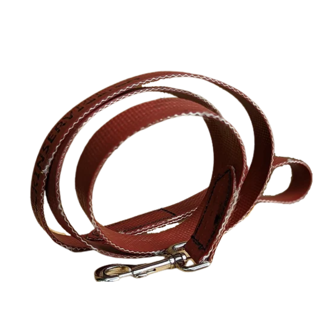 Back In Service dog leash Med Firehose Red Dog Leash