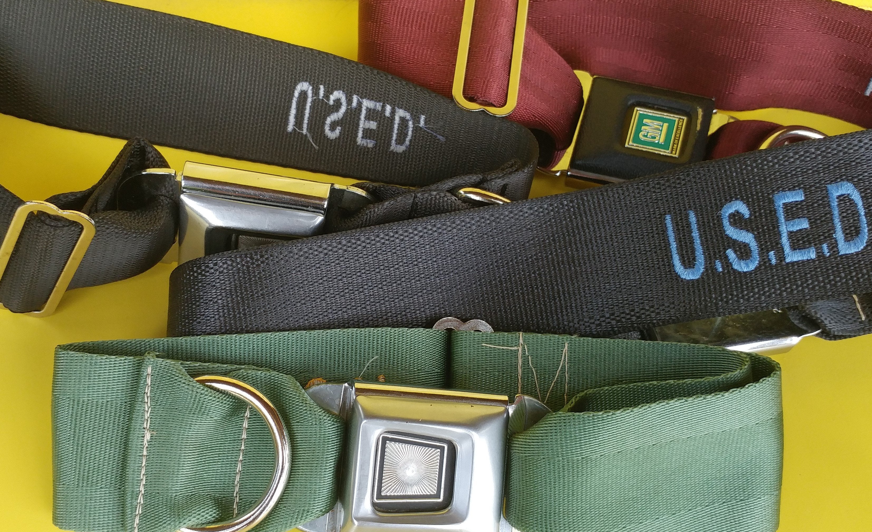 U.S.E.D. Pets Lrg 16"-22" long / black with Ford buckle Vintage - ish Dog Collar