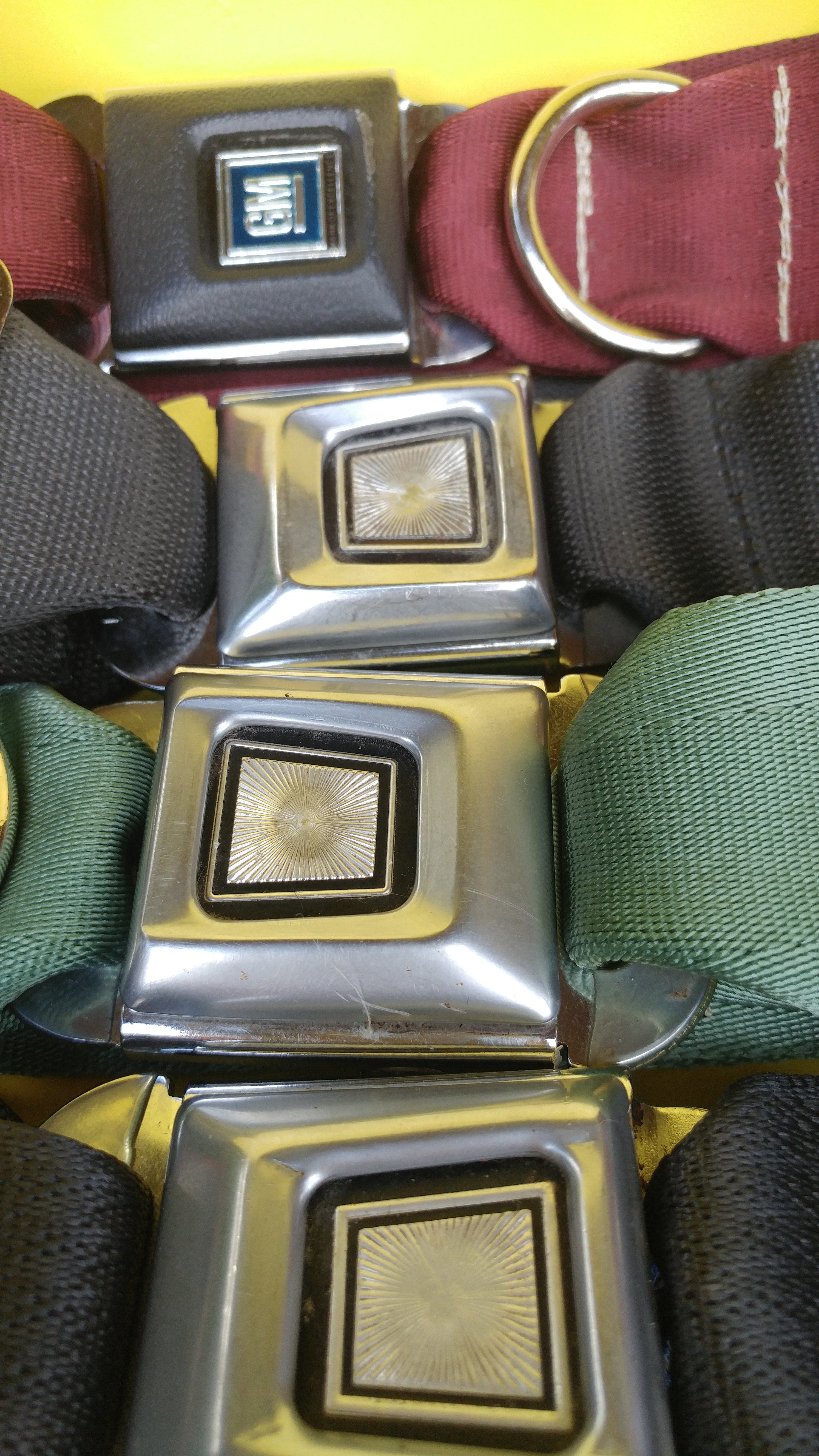 U.S.E.D. Pets Lrg 16"-22"long / green with Ford buckle Vintage - ish Dog Collar