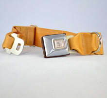 Load image into Gallery viewer, U.S.E.D. Pets Vintage - ish Dog Collar
